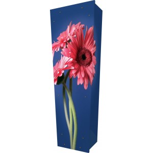 Gerbera in Bloom - Personalised Picture Coffin with Customised Design.